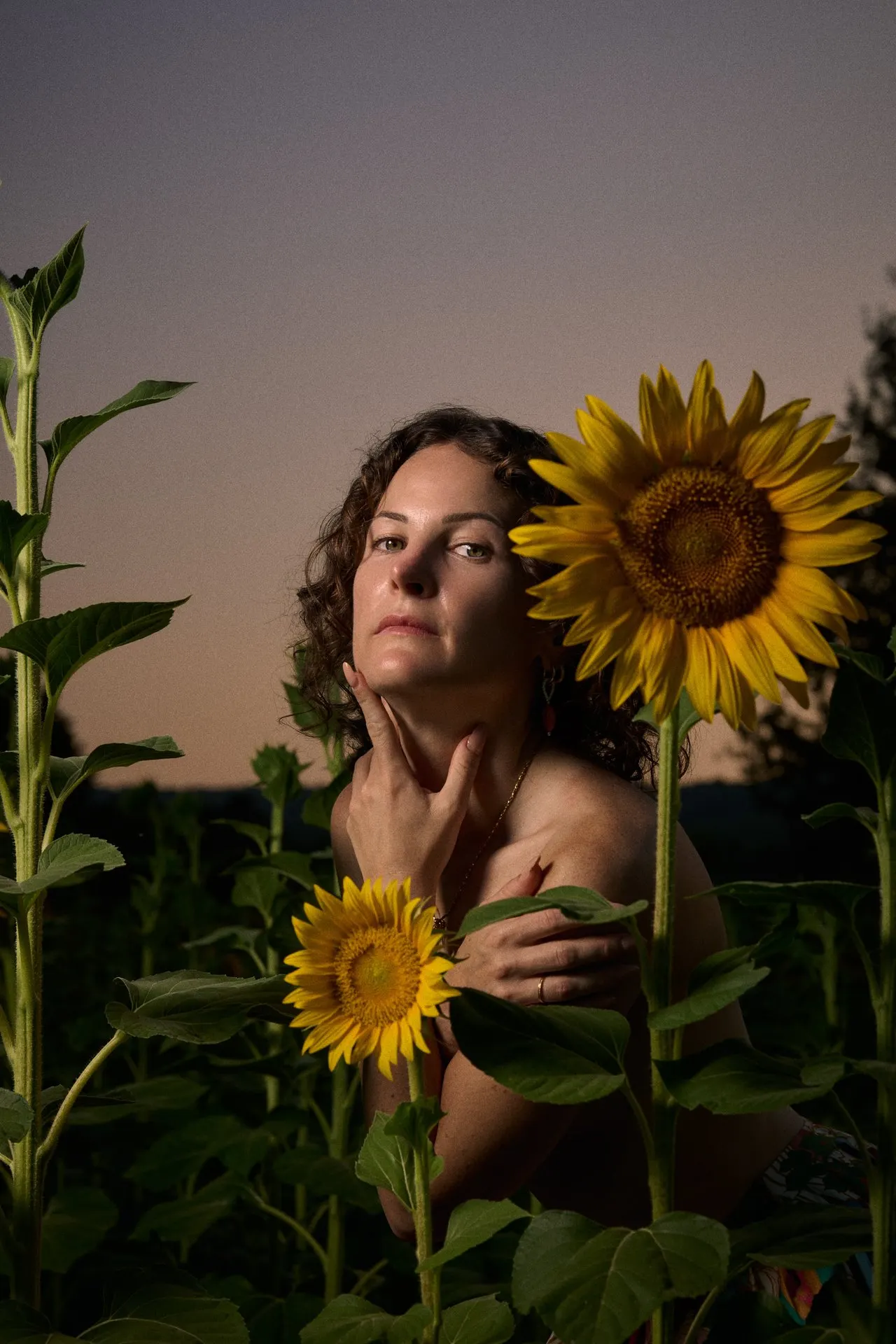 Femme parmi des tournesols dans la lumière dorée du coucher de soleil, éditorial nature, Bruxelles